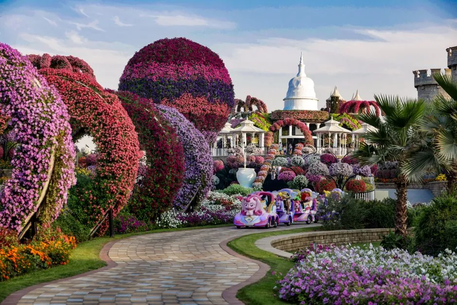 Flower arches and a paved path at Dubai Miracle Garden, next to Arjan on the Al Barsha South side